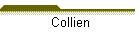 Collien