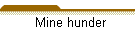 Mine hunder